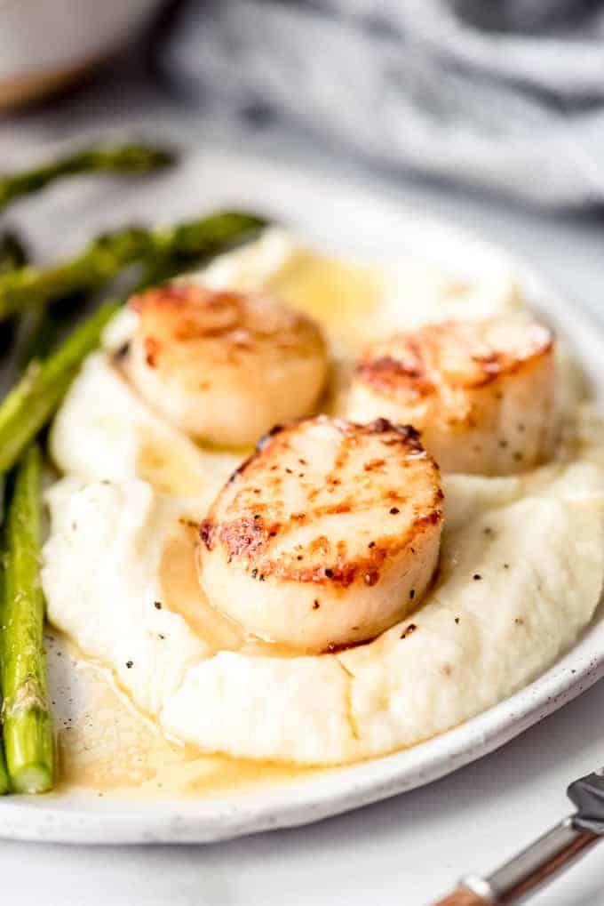 An image of pan seared scallops with a golden brown crust.