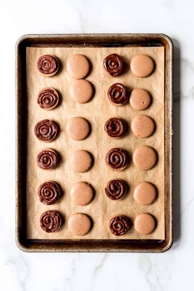 An image of macaron shells filled with semisweet chocolate ganacehe.