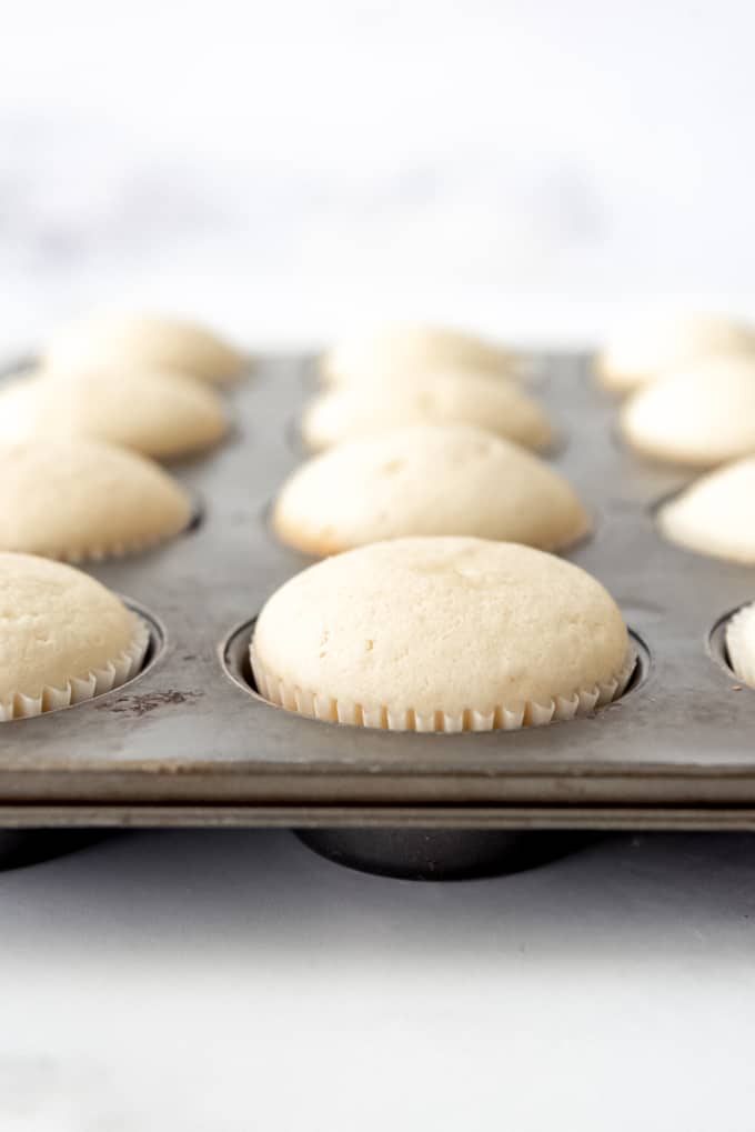 An image of unfrosted white cupcakes in a muffin tin.