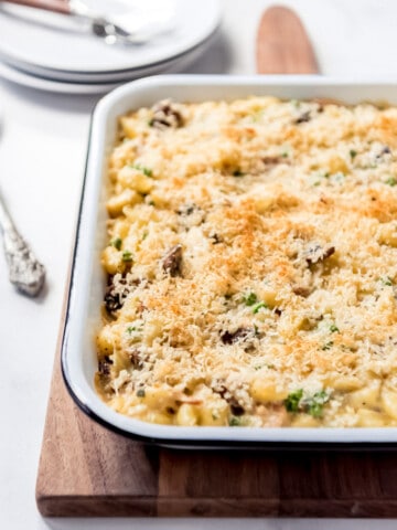 An image of a tuna noodle casserole with breadcrumb topping.
