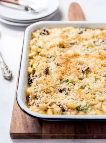 An image of a tuna noodle casserole with breadcrumb topping.