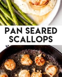 Pan Seared Scallops - House of Nash Eats