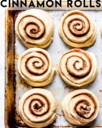 The BEST Homemade Cinnamon Rolls - House of Nash Eats