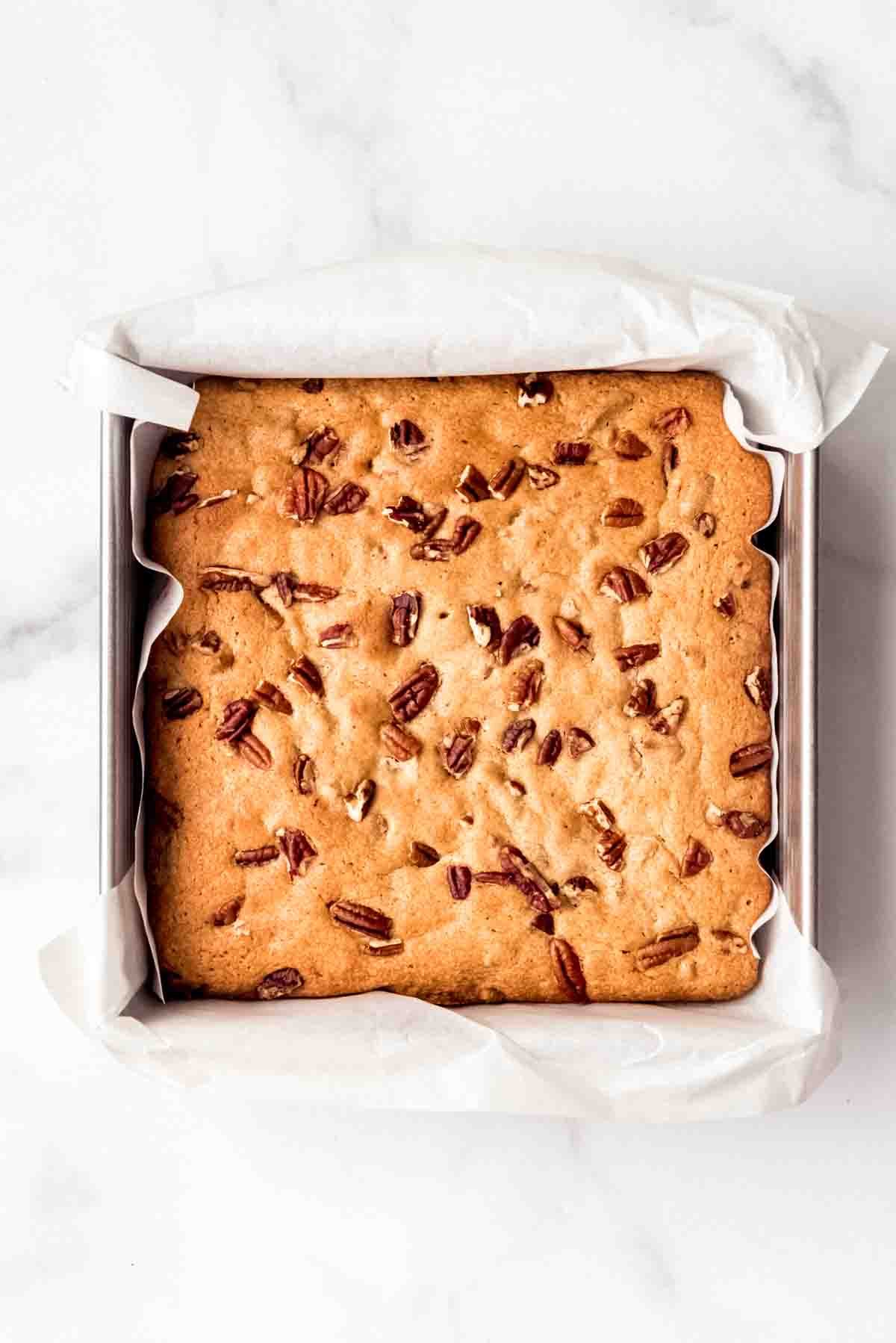 Baked blondies with pecans in a pan.