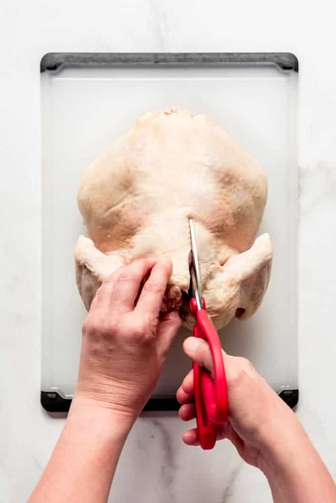 hands cutting a raw chicken with red scissors