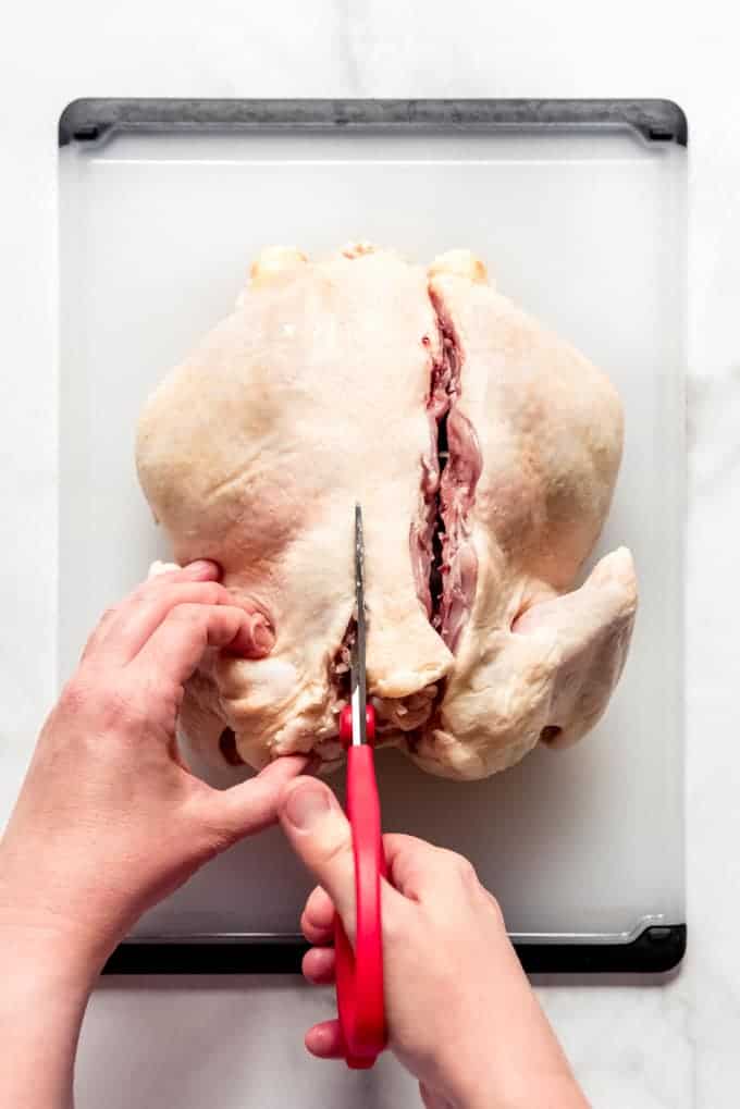 Cutting the spine off of a raw chicken with red scissors