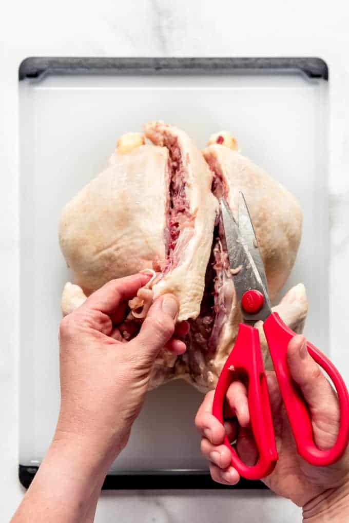 Cutting and removing the spine off of a raw chicken