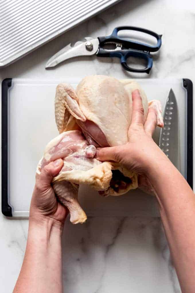 hands dejointing a chicken quarter off of a whole bird