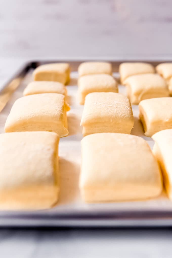 Puffy risen rolls on a baking sheet.