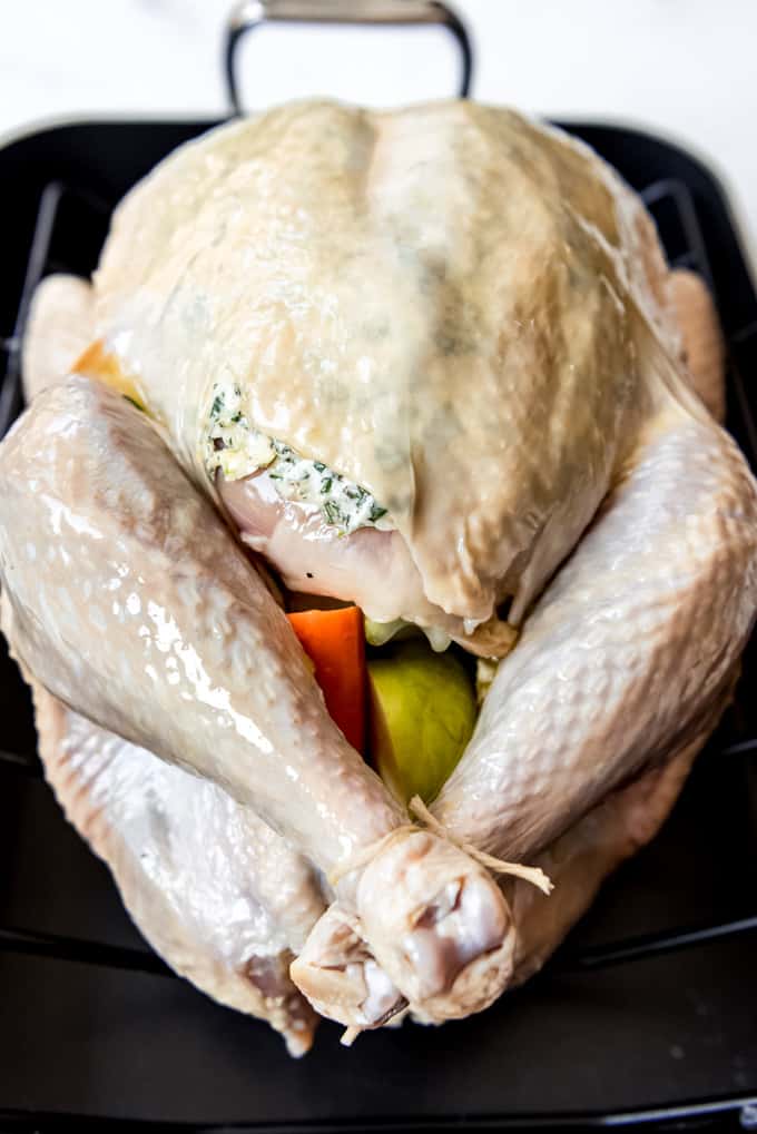 A turkey with its legs tied together ready for the oven.
