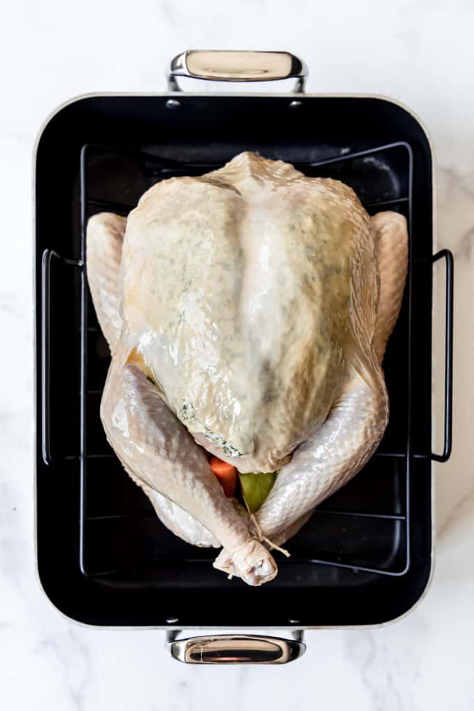 A turkey in a roasting pan.