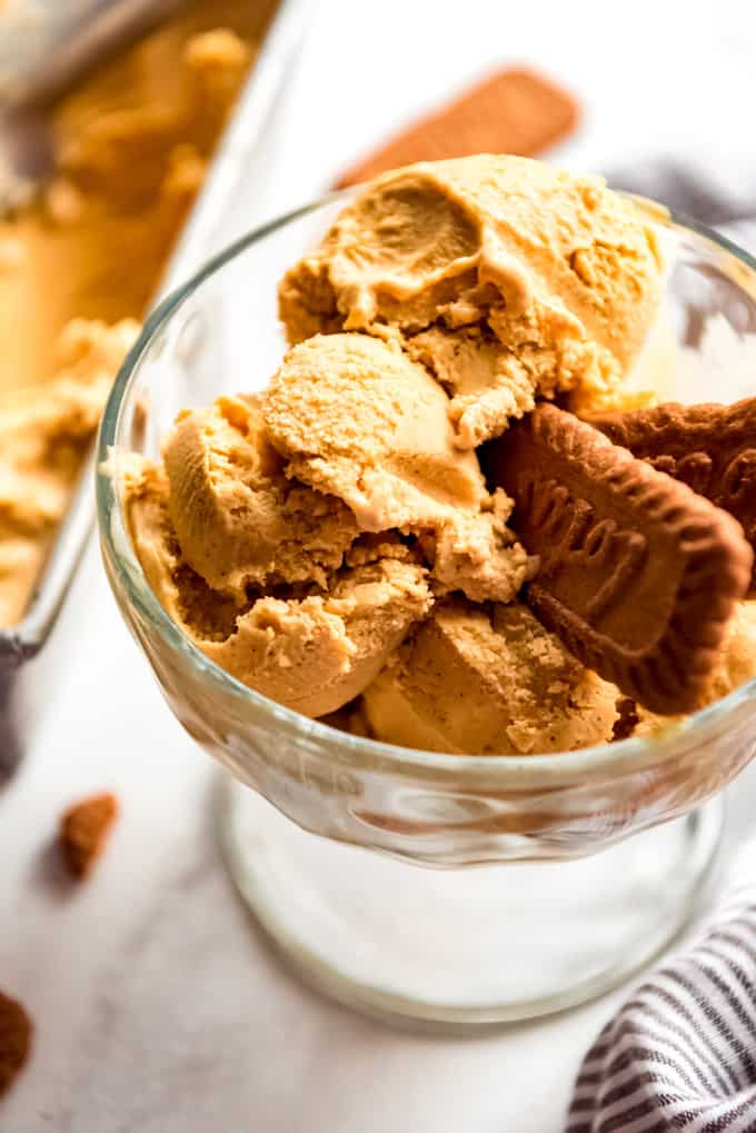 A bowlful of homemade pumpkin spice ice cream with cookies.