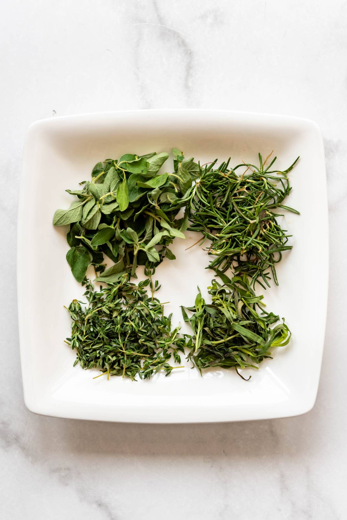 Fresh oregano, rosemary, tarragon, and thyme on a white plate.