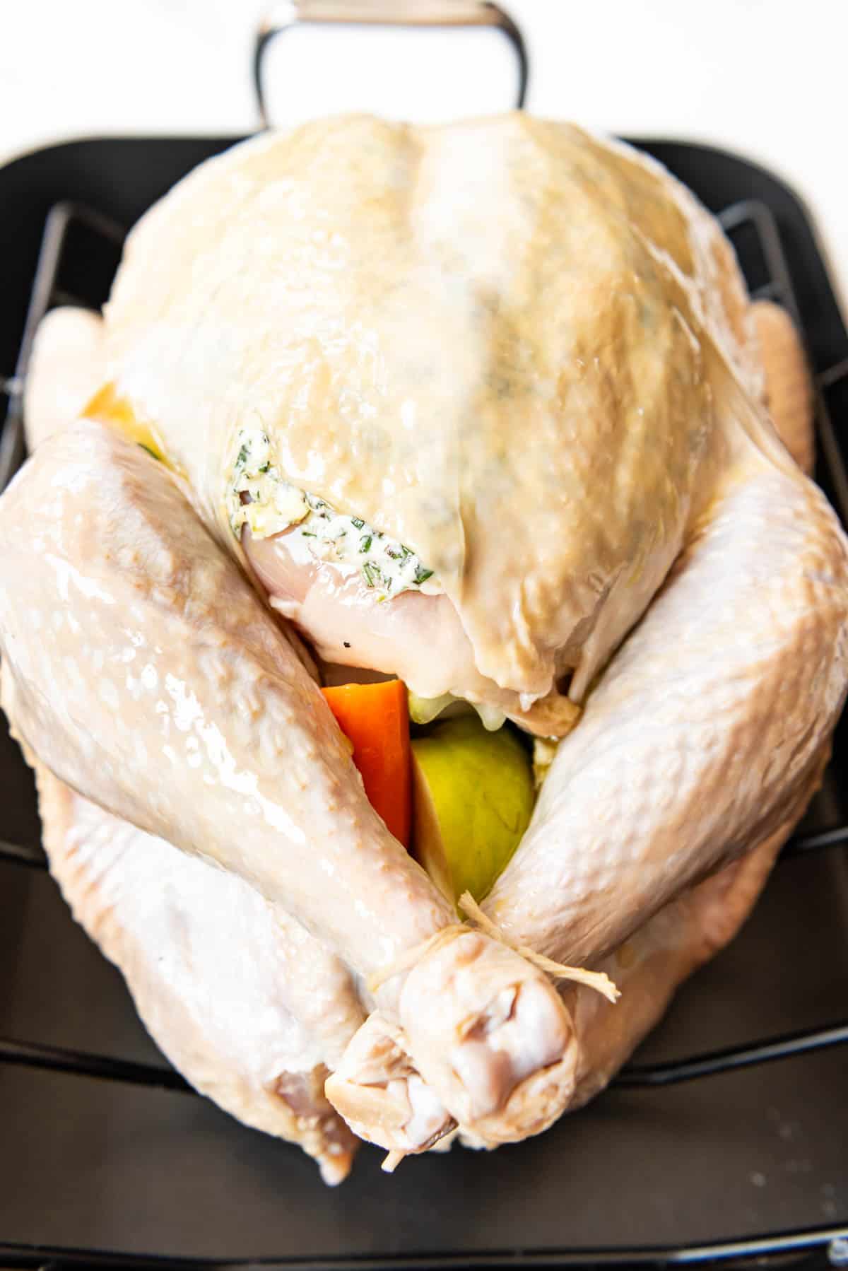 A turkey with its legs tied together ready for the oven.