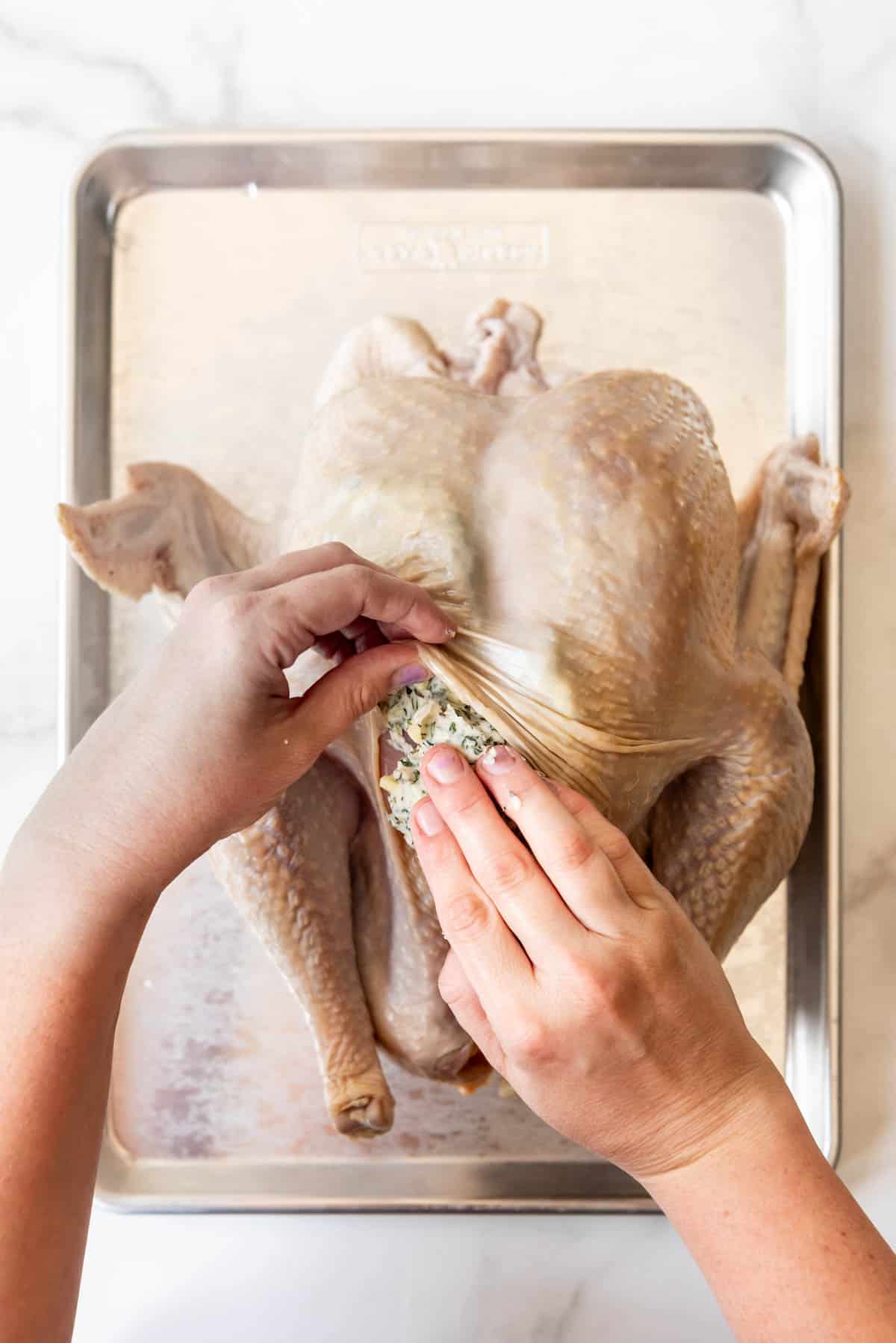 Hands stuffing herb butter under the skin of a turkey. 