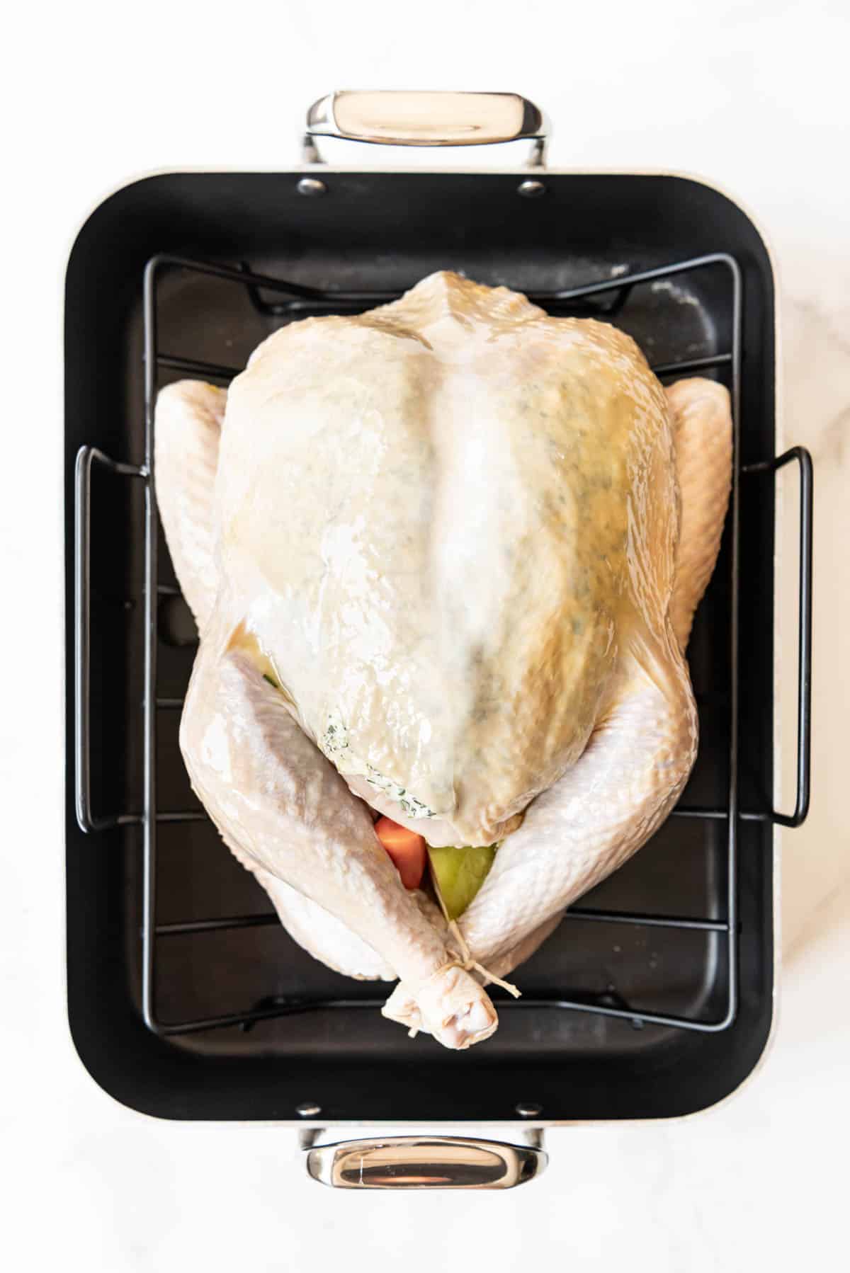 A turkey in a roasting pan.