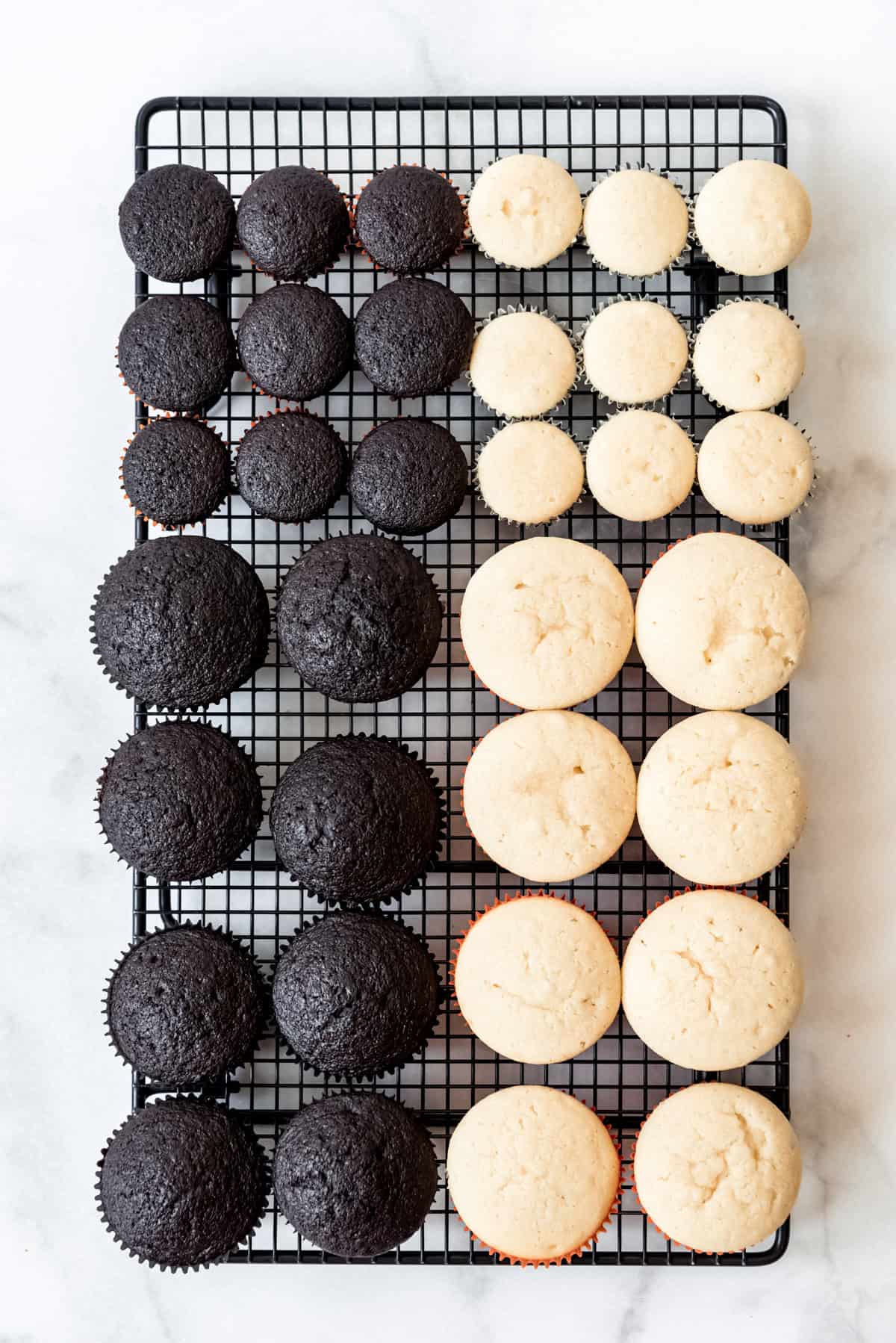 Regular and mini chocolate and vanilla cupcakes on a cooling rack.