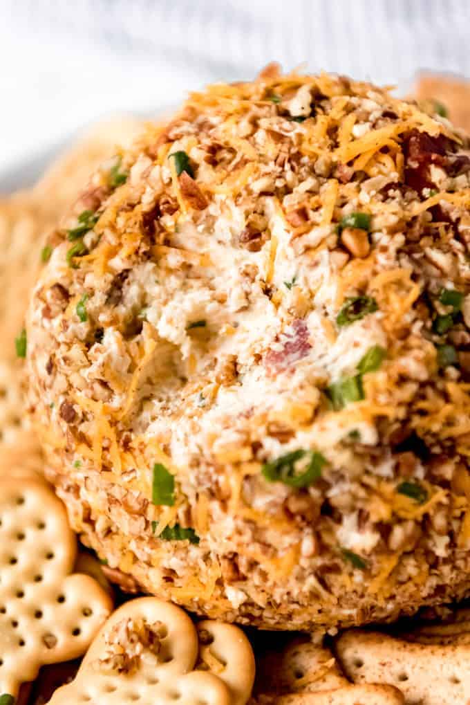 A homemade cheese ball with pecans, bacon, ranch and cheddar cheese.