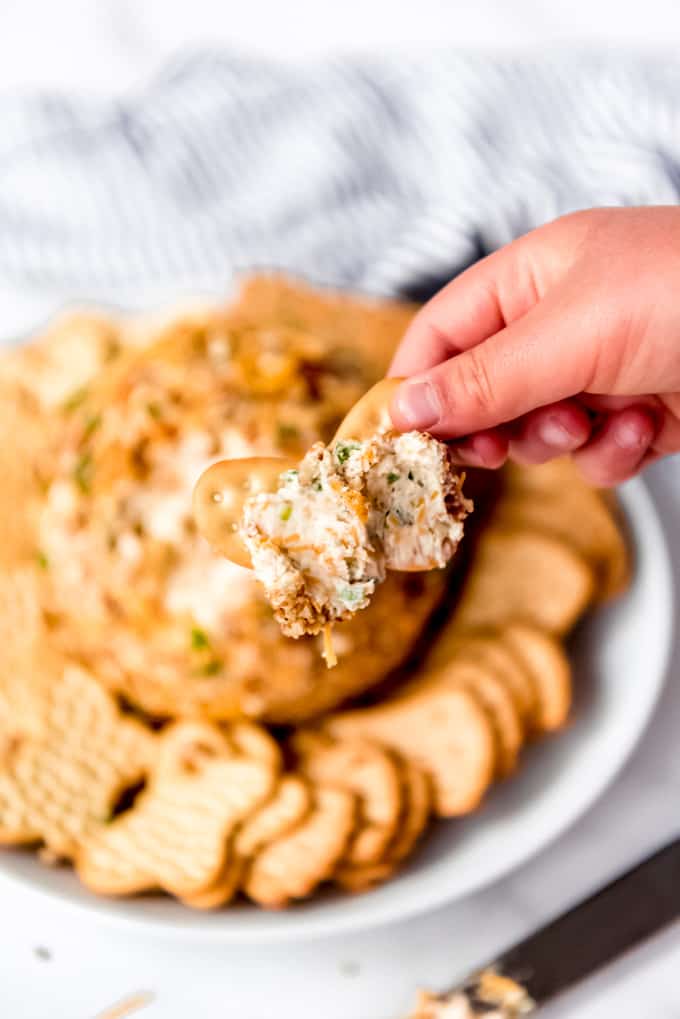 Spreadable cheese mixture on a cracker.