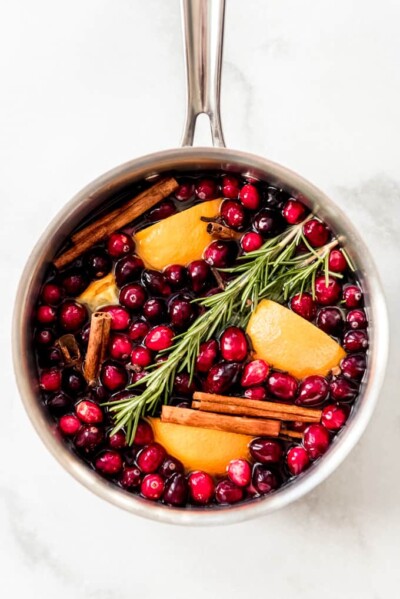 Easy Christmas Stovetop Potpourri - House of Nash Eats