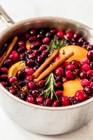 Easy Christmas Stovetop Potpourri - House of Nash Eats