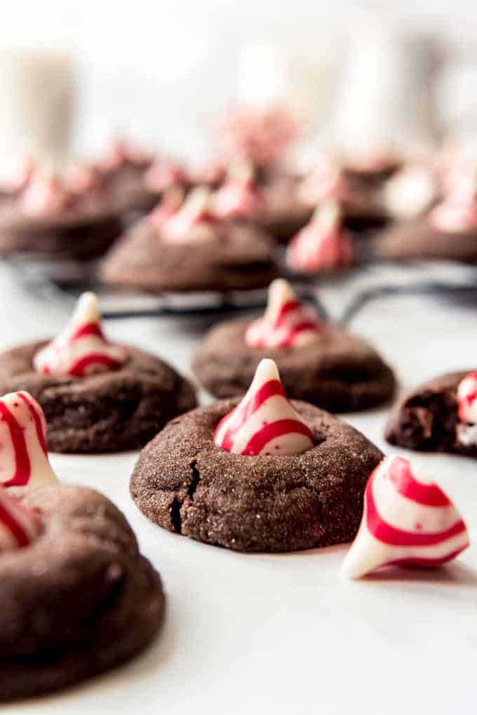 Chocolate peppermint blossom cookies