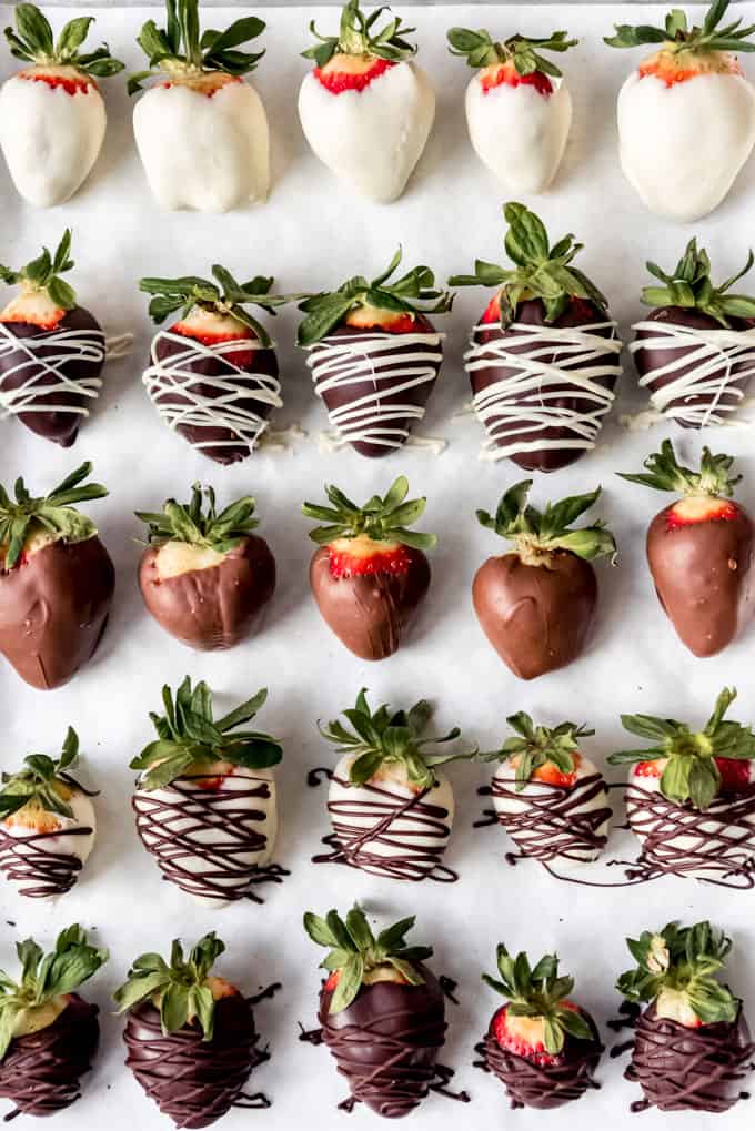 Rows of gourmet chocolate covered strawberries.