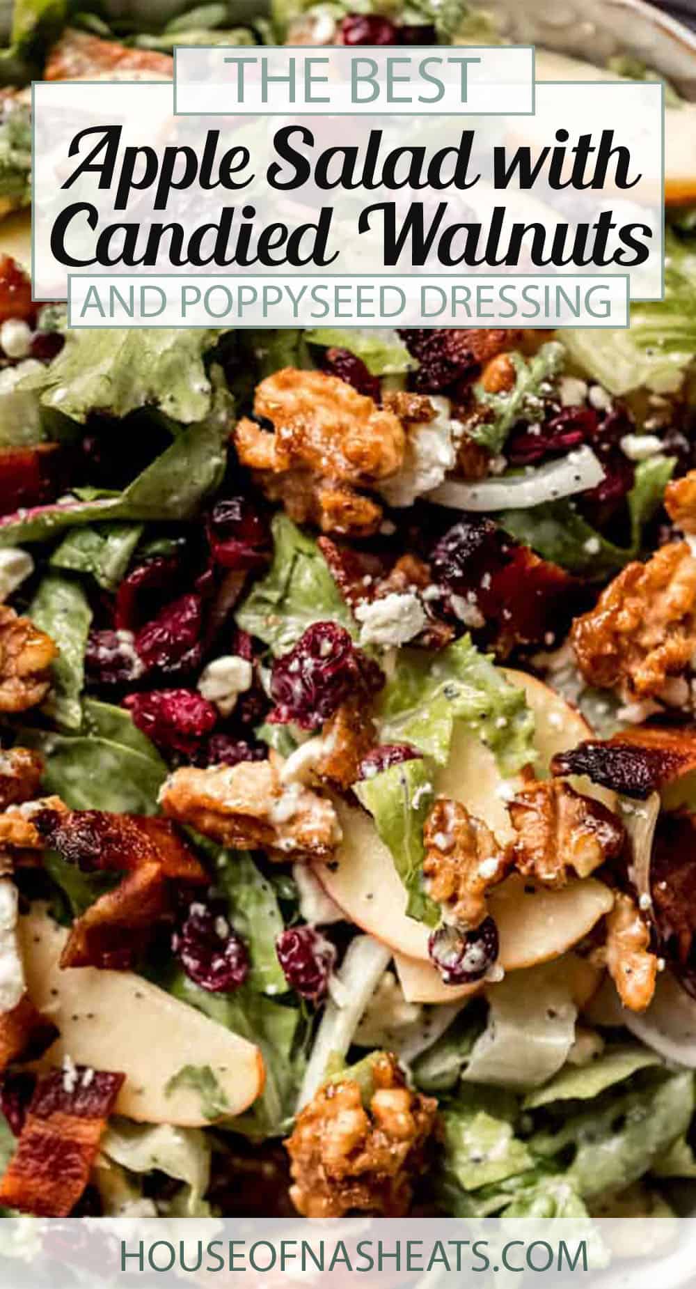 Apple Salad With Candied Walnuts And Cranberries - House Of Nash Eats