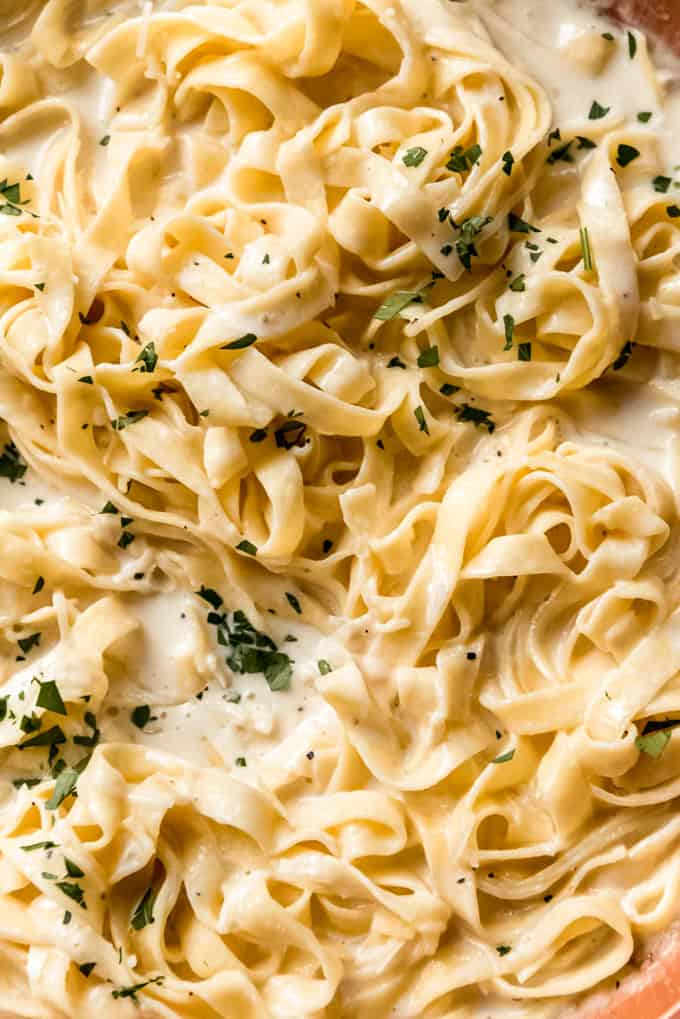 close up of pasta and sauce