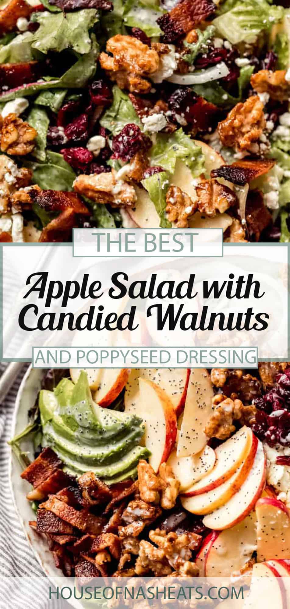 Apple Salad with Candied Walnuts and Cranberries House of Nash Eats