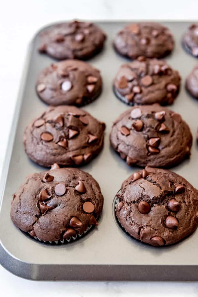 Freshly baked double chocolate muffins in muffin tray.