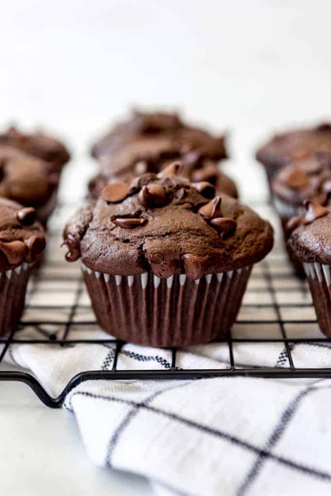 double chocolate muffins on cooling rack from the side