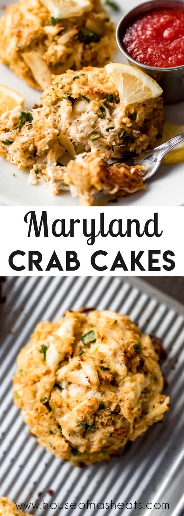 Juicy Maryland Crab Cakes (Baked or Fried) - House of Nash Eats