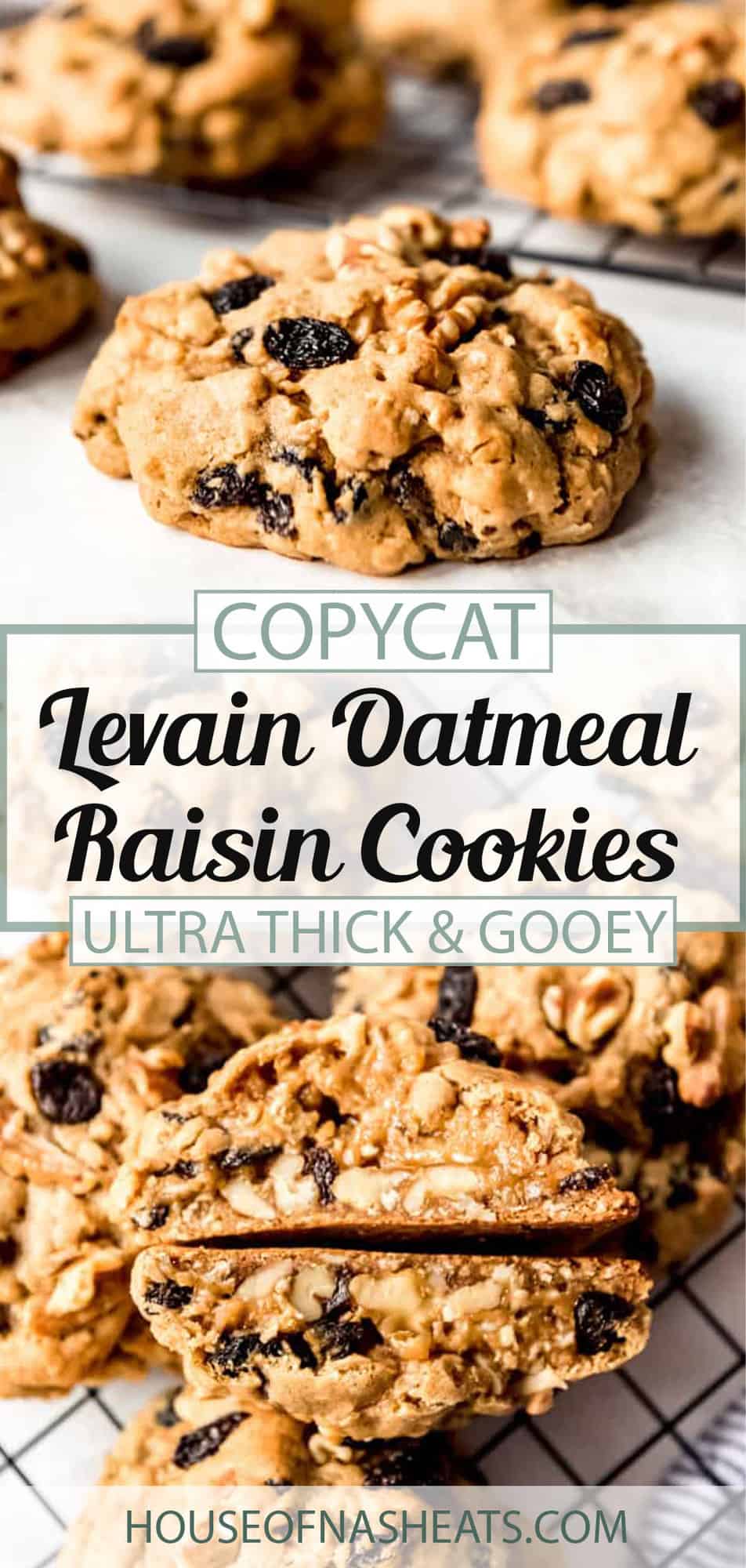 Levain Oatmeal Raisin Cookies House Of Nash Eats