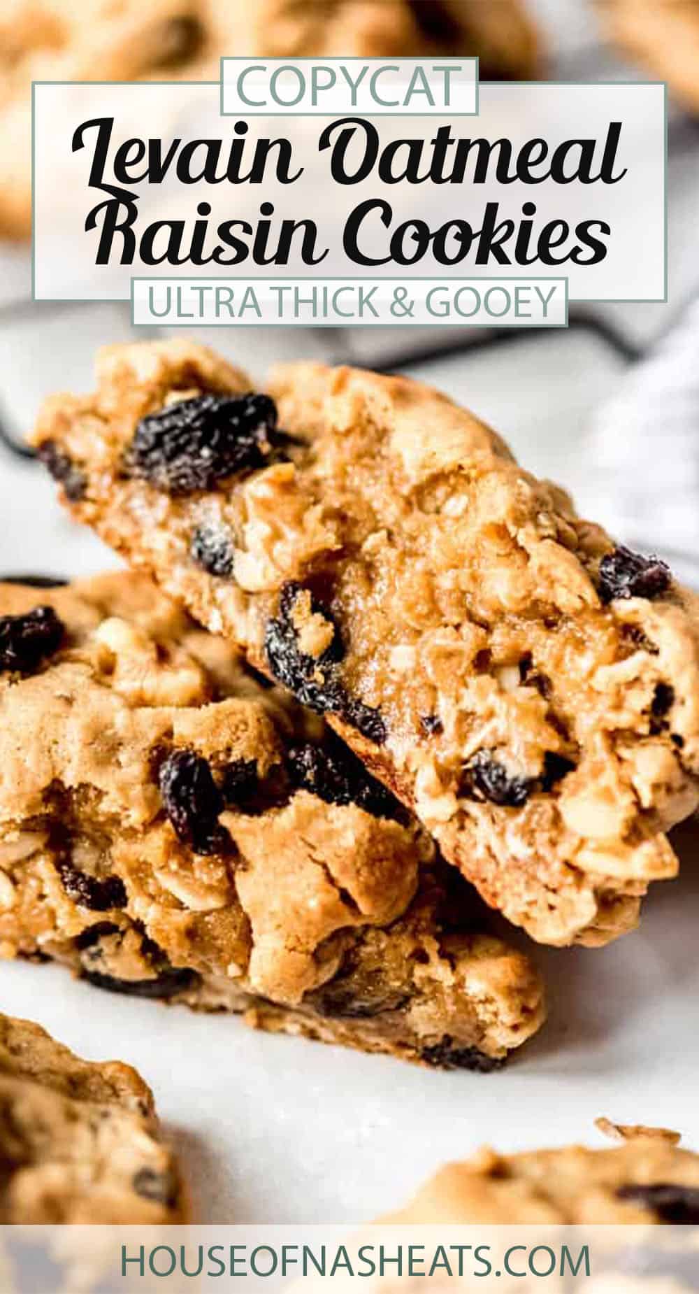 Levain Oatmeal Raisin Cookies House Of Nash Eats