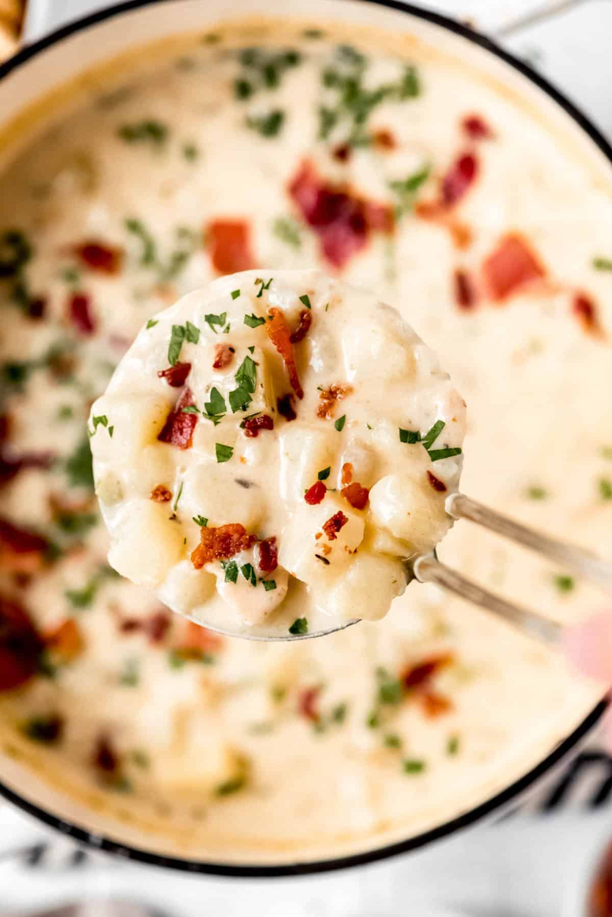 Clam Chowder A Creamy Staple Of New England Seafood Cuisine Layla