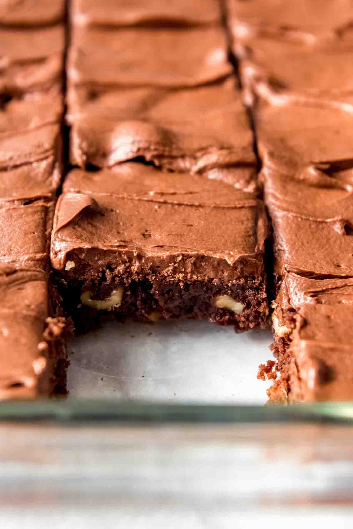 A side image of a dense fudge brownie with chopped walnuts.