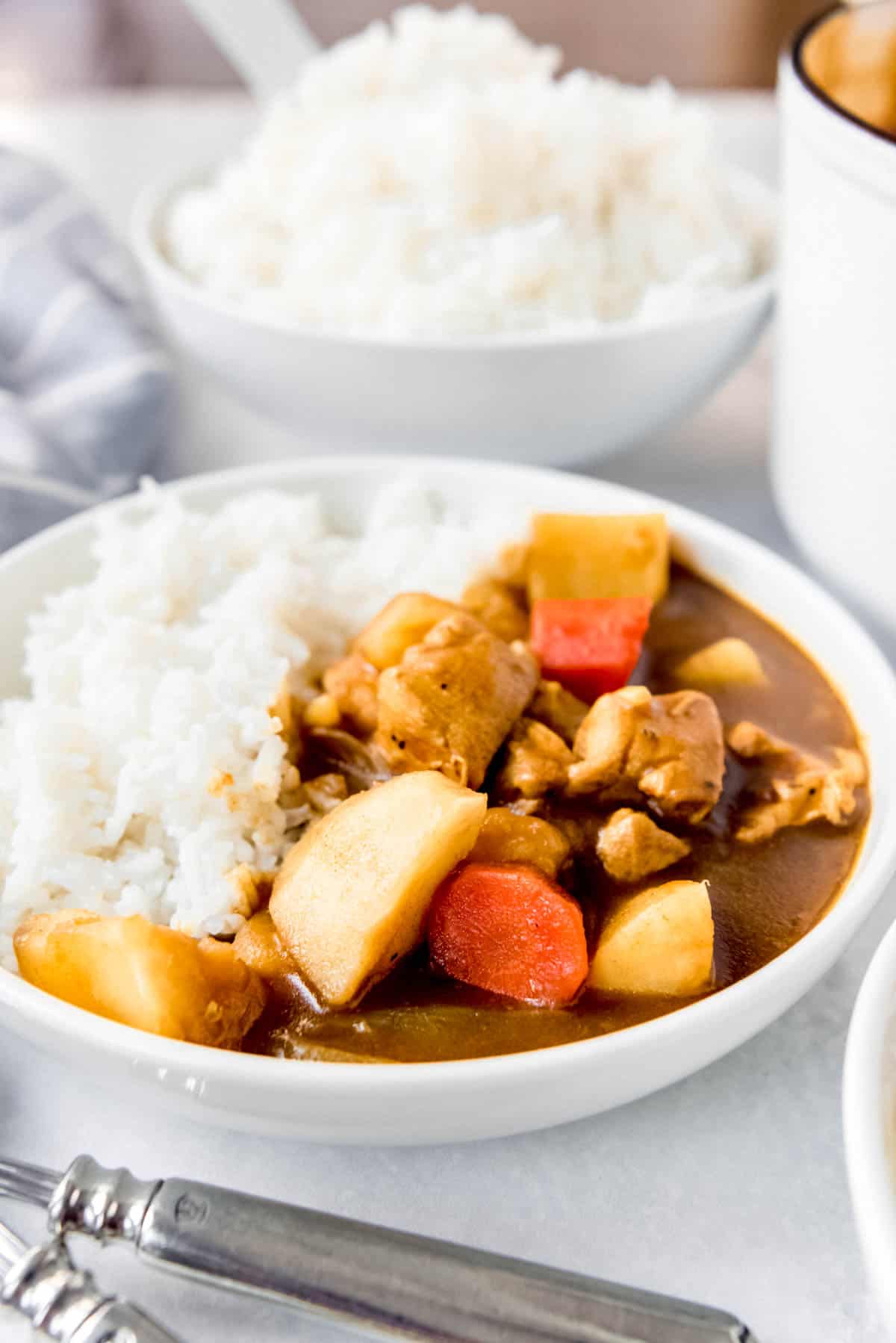 Close up of a bowl of Japanese curry, served with white rice. 