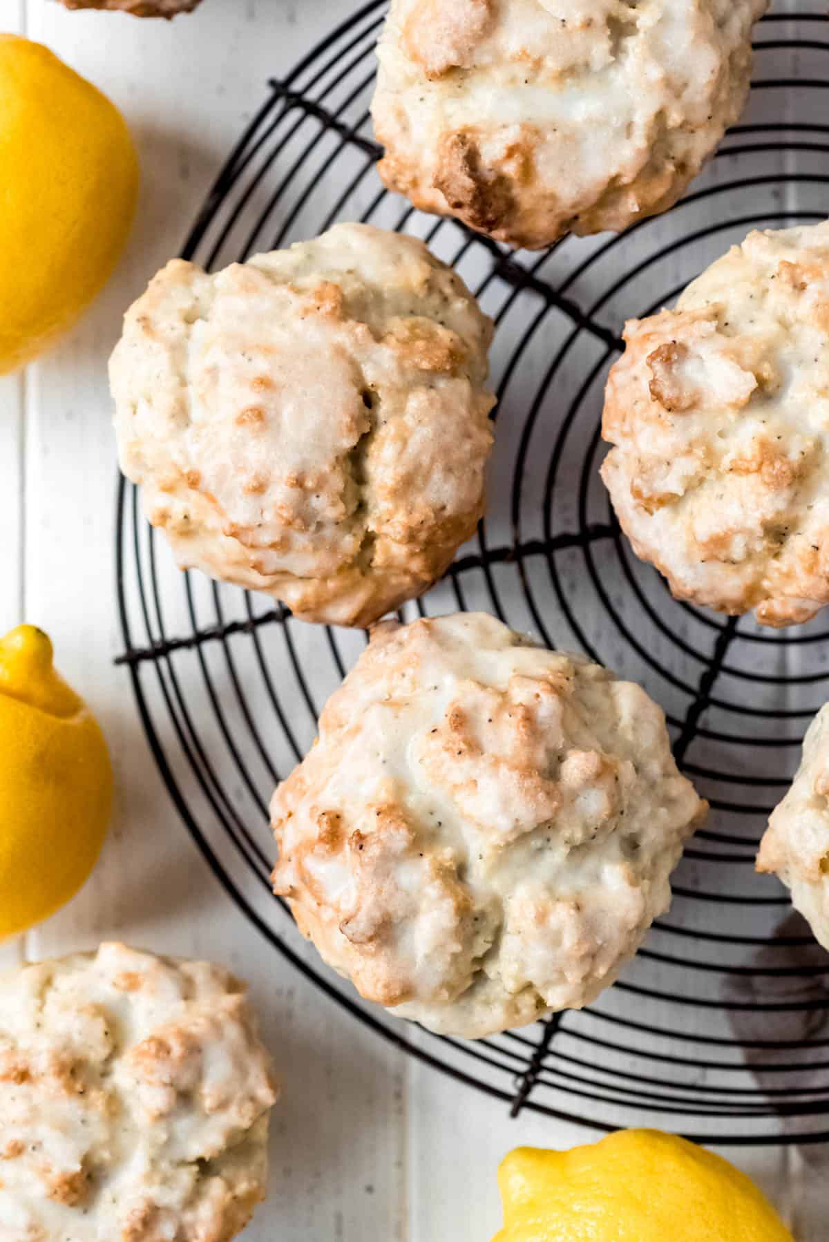 Glazed lemon poppy seed muffins are resting on a circular wire rack. Whole lemons are scattered around the rack. 