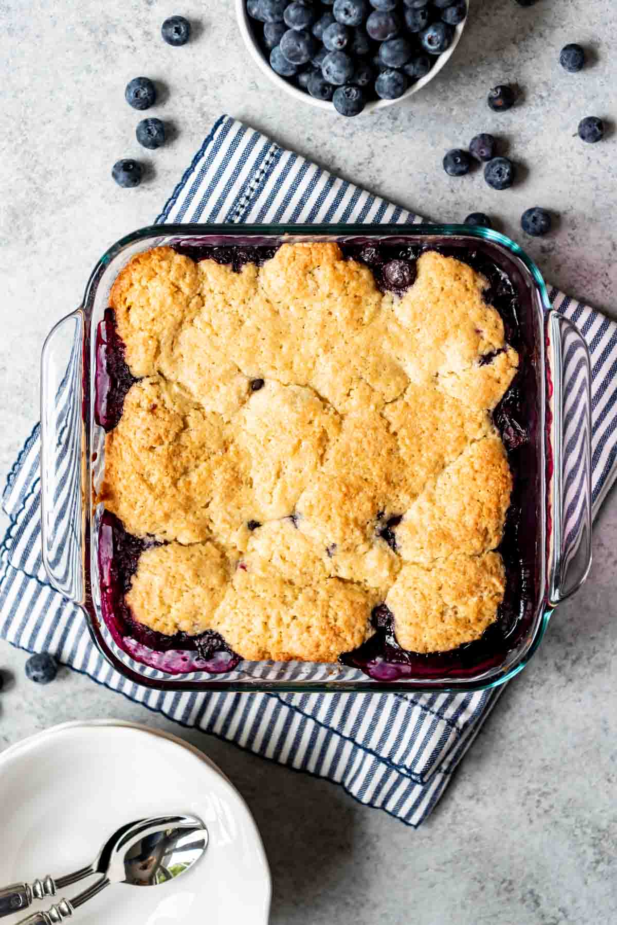 A square baking dish of cooked blueberry cobbler is resting on a striped kitchen towel. Blueberries and serving bowls with spoons are visible around the dish. 