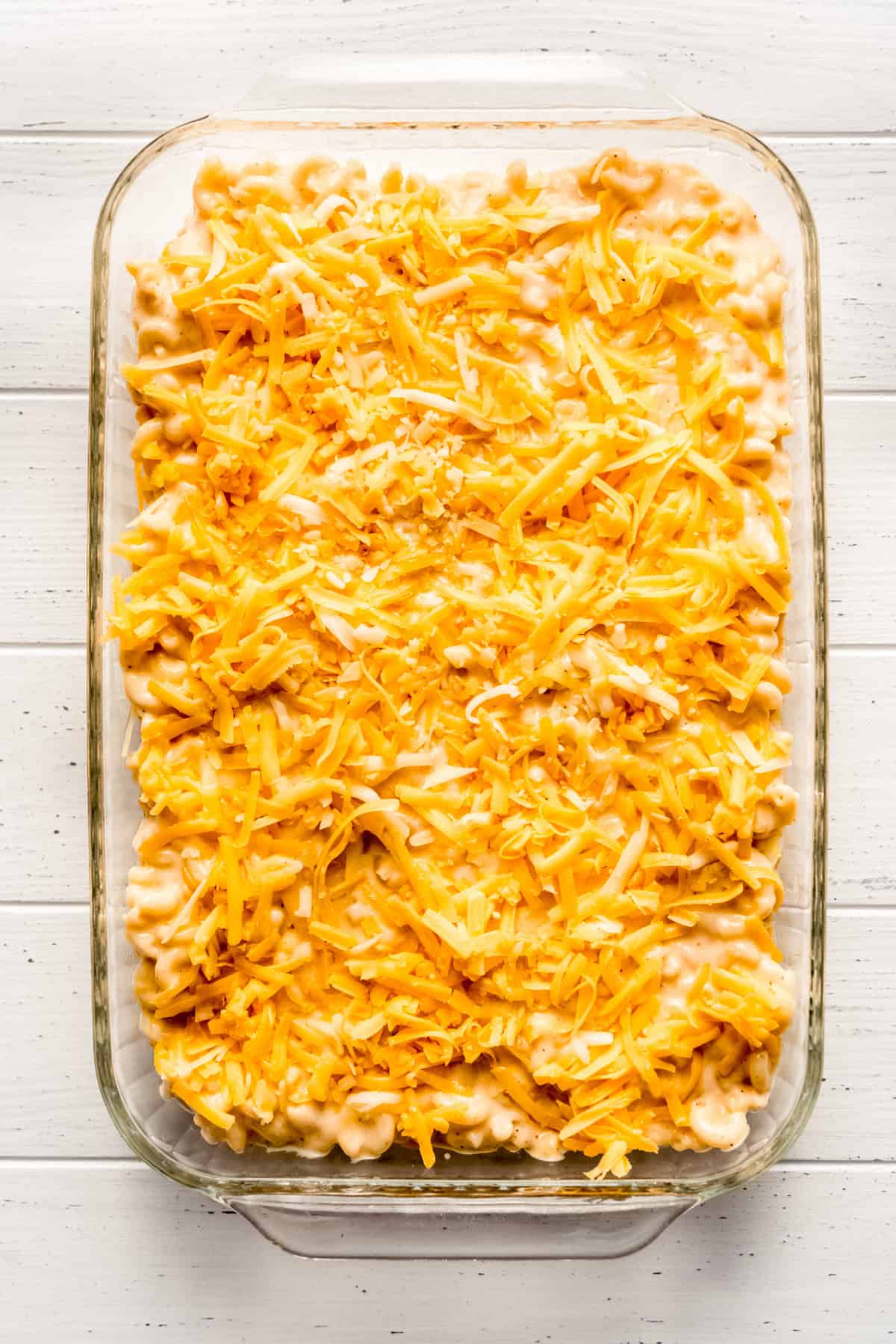 cheese sprinkled over creamy macaroni and cheese