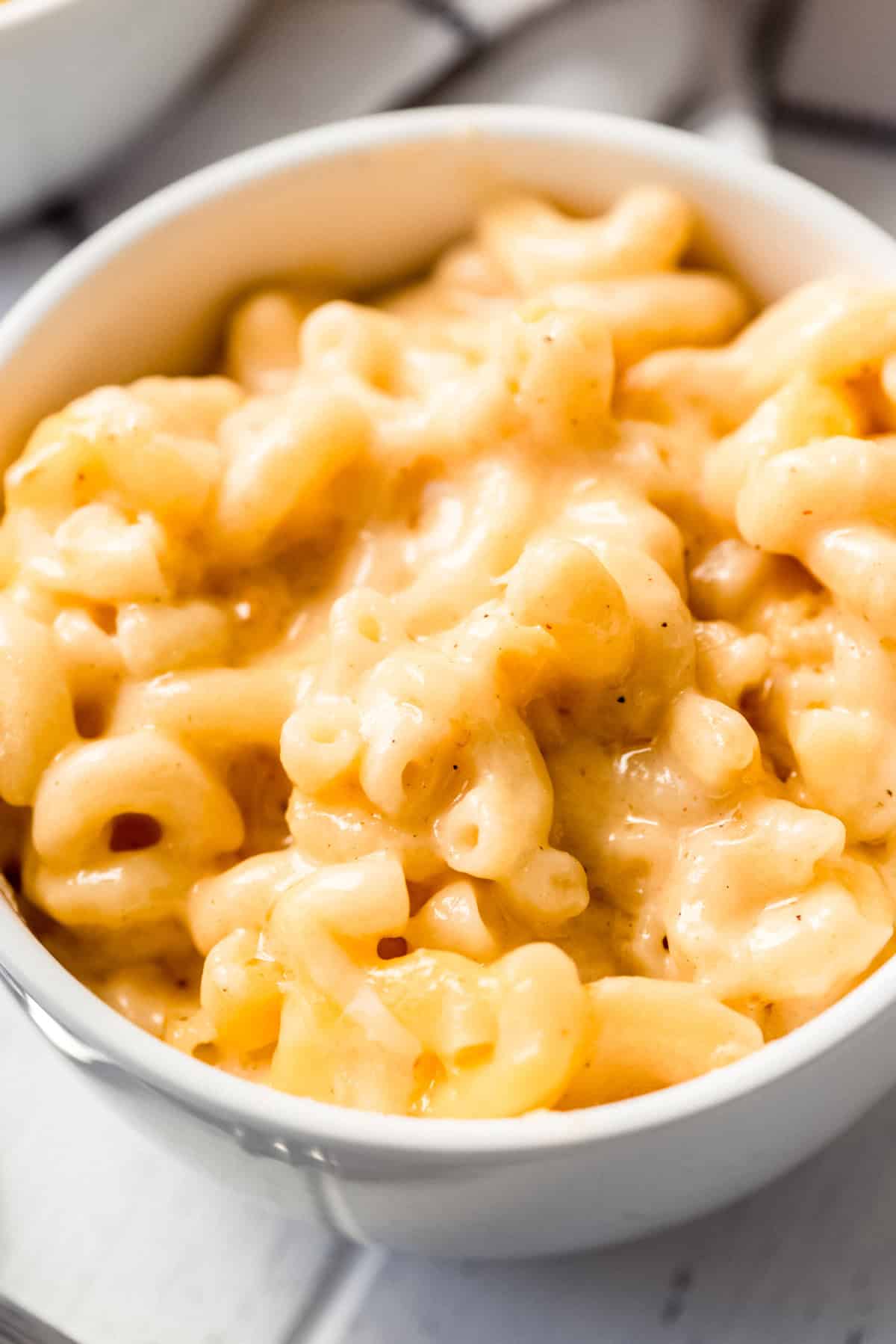 a close shot of creamy macaroni in a bowl