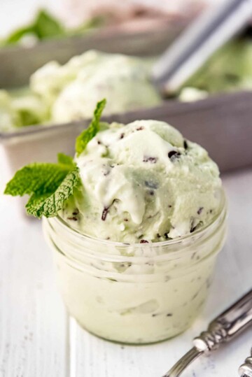 Mint Chocolate Chip Ice Cream - House of Nash Eats