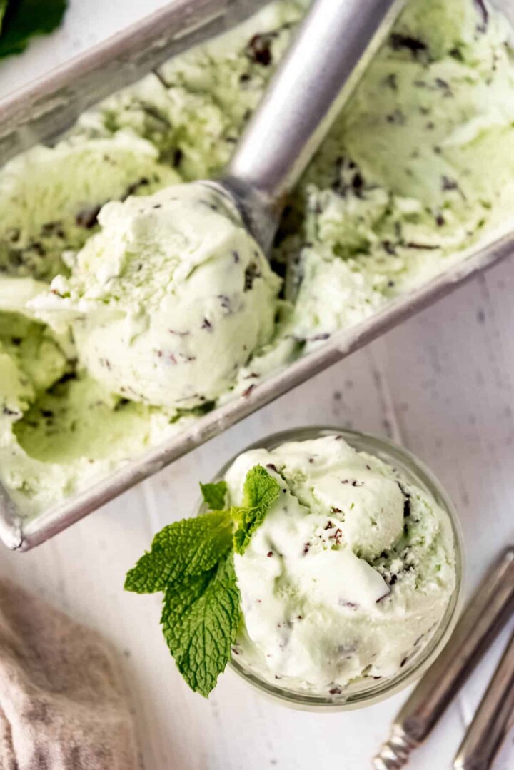 Mint Chocolate Chip Ice Cream - House of Nash Eats