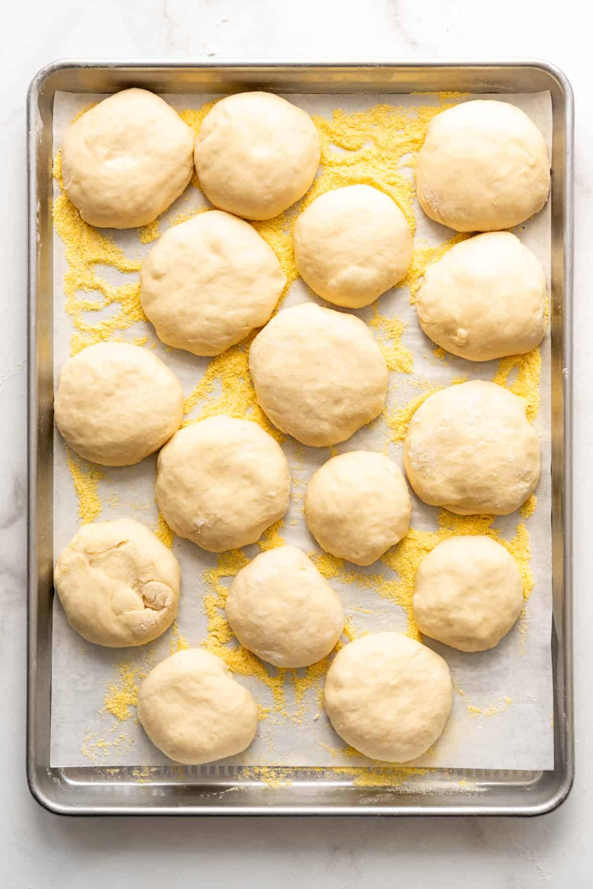 Homemade English Muffin Dough with on a baking sheet lined with parchment paper and sprinkled with cornmeal.