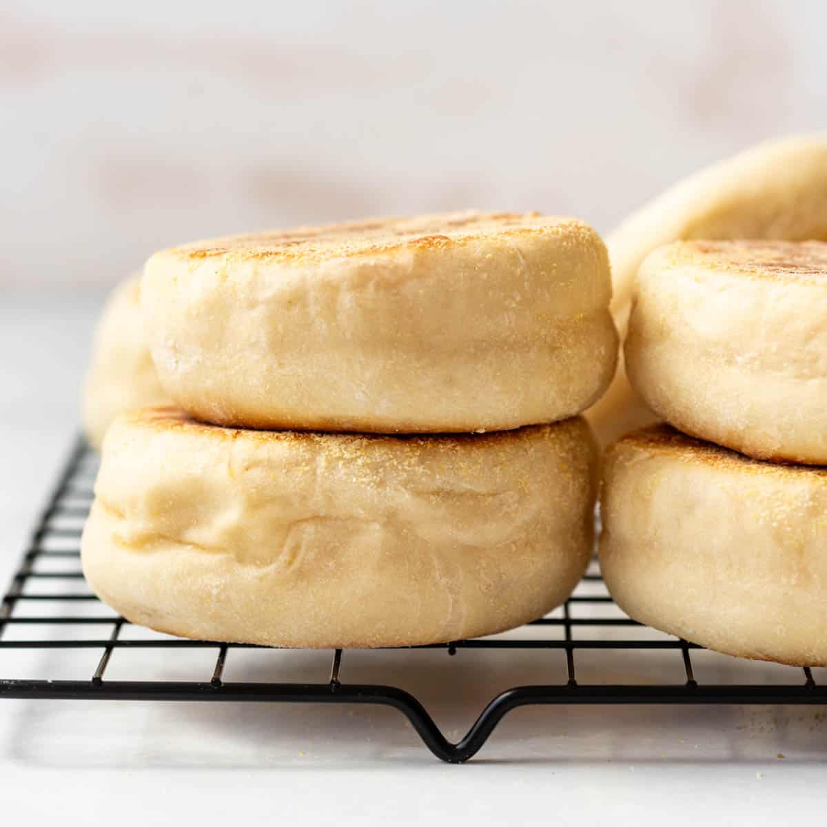 Homemade English Muffins