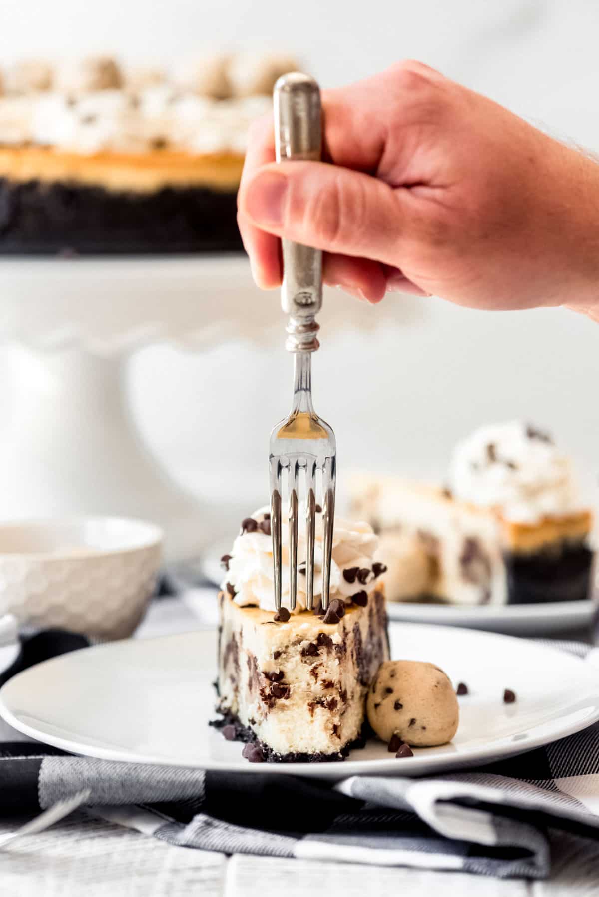 A fork piercing a slice of chocolate chip cheesecake, on a plate. 