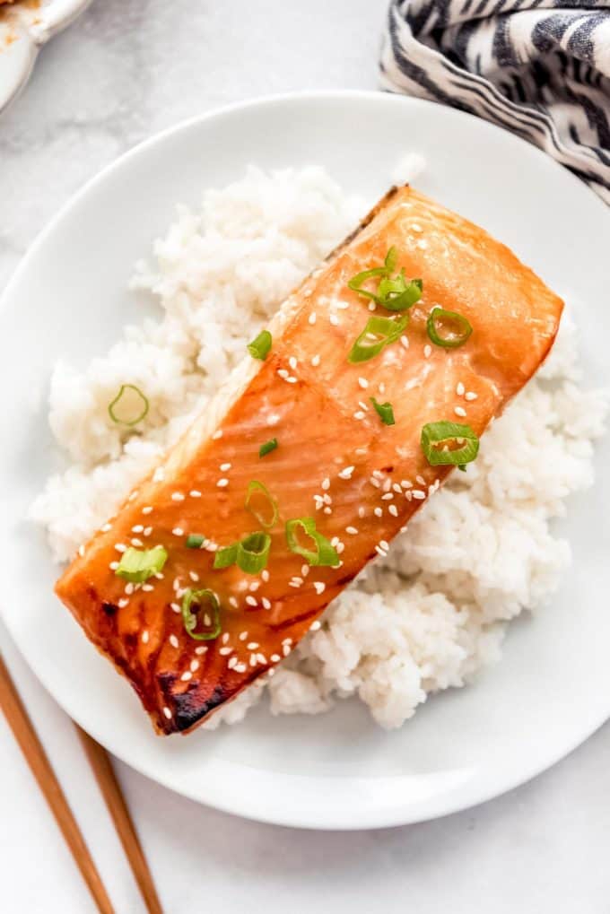 a salmon fillet on a white plate with white rice