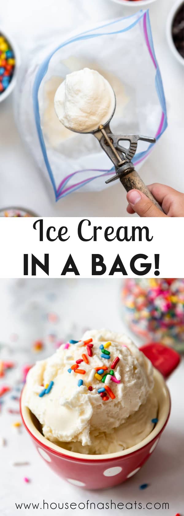 Ice Cream In A Bag 4 