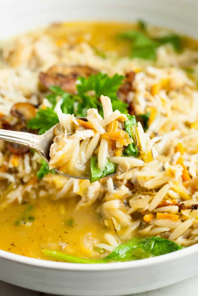 A spoonful of chicken soup with orzo pasta.
